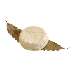 Mothais sur feuille AOP